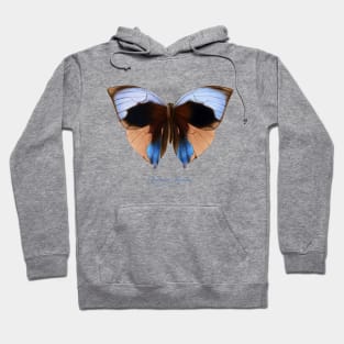 Butterfly - Giant Saturn or Zeuxidia Aurelius Hoodie